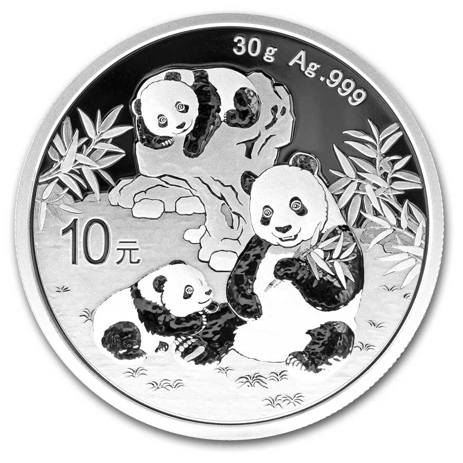Panda 2025 Silver 30 gram coin