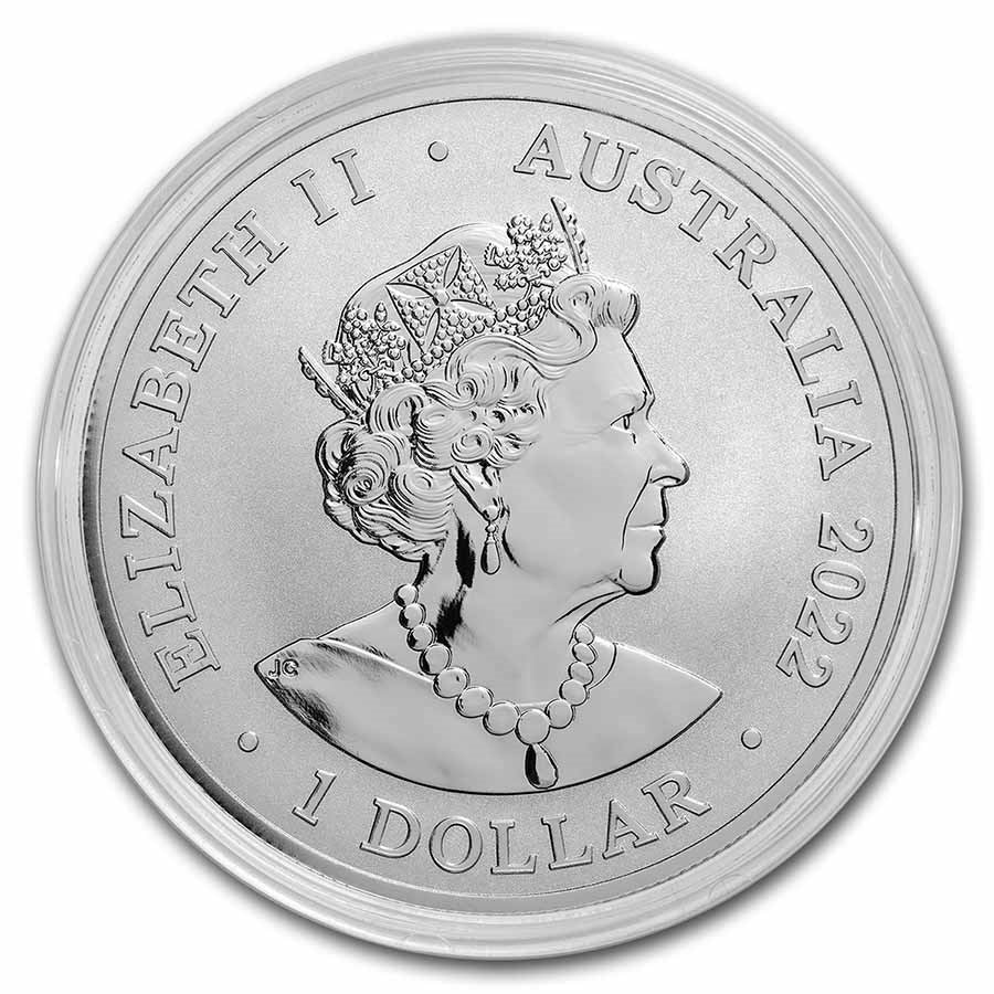 Australia Dolphin 2022 Silver 1 oz (ounce)