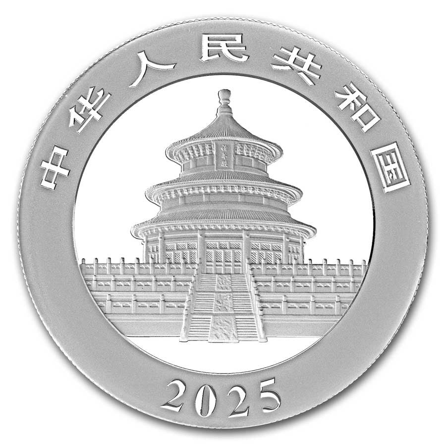 Panda 2025 Silver 30 gram coin